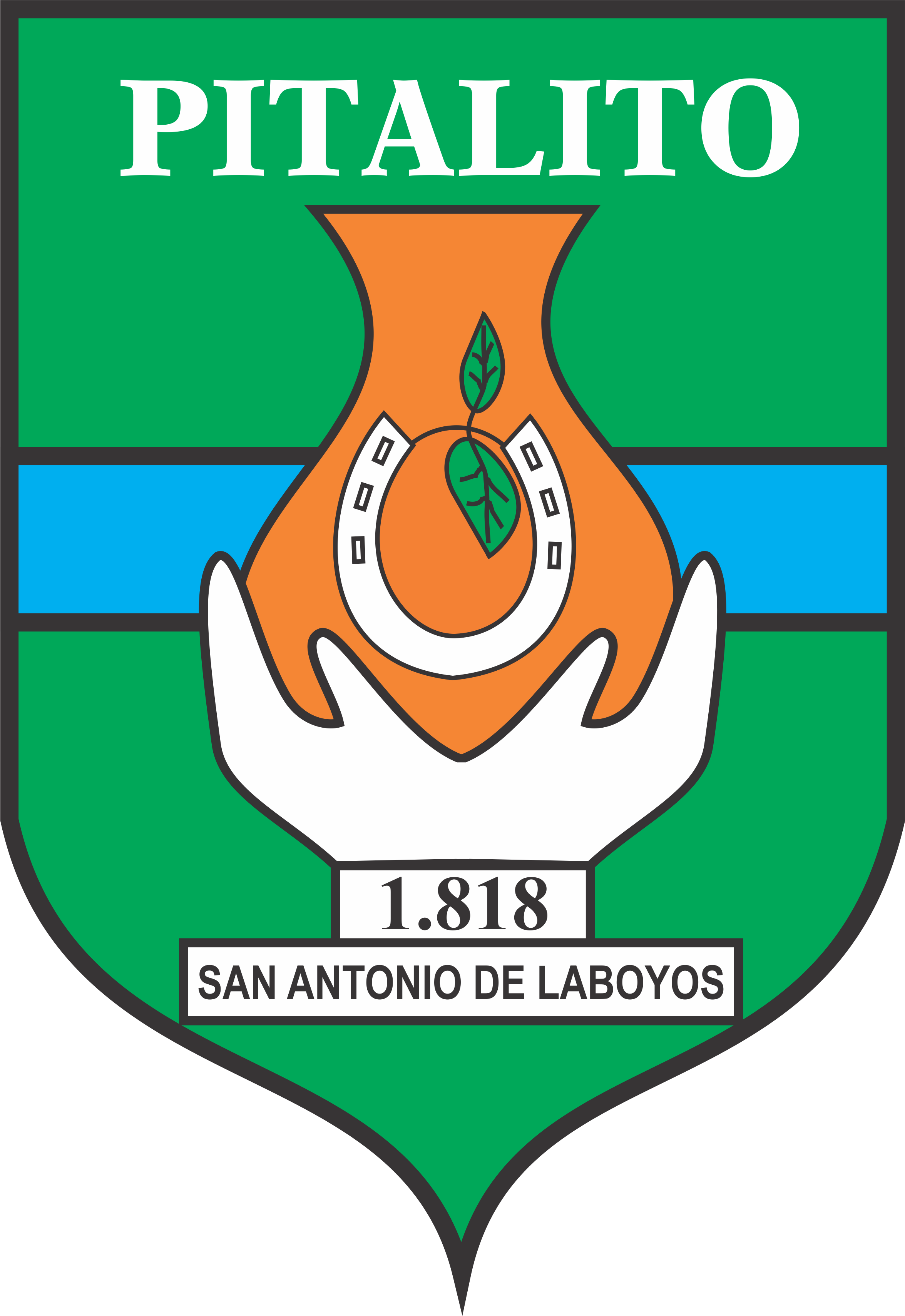 Alcaldía de Pitalito